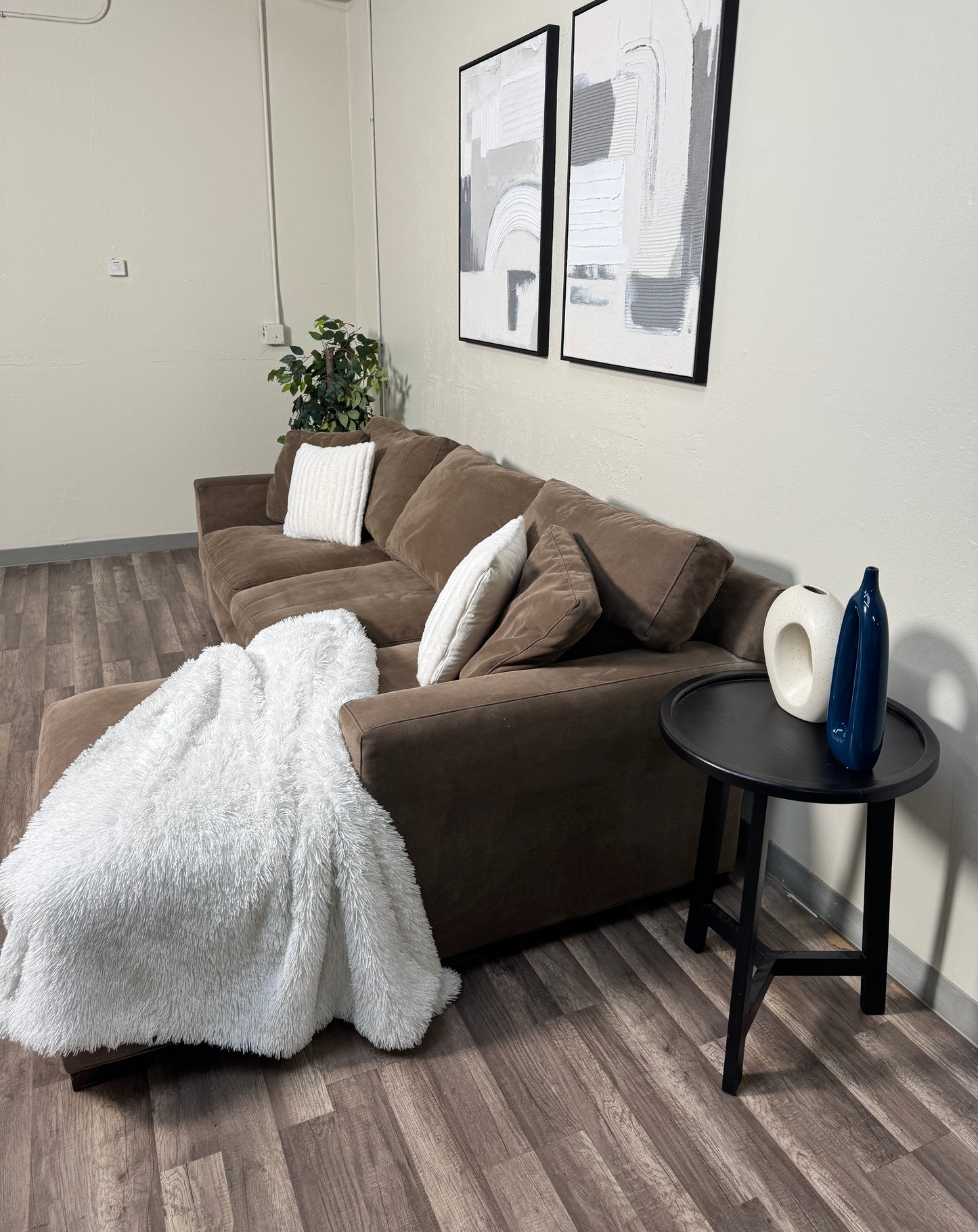 Crate & Barrel Sectional Couch